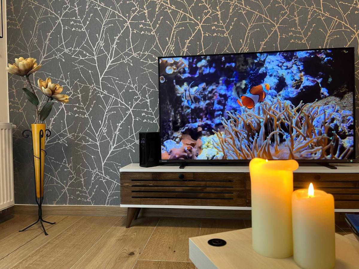 Apartman U Pelikana Оломоуц Экстерьер фото